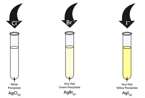 silver nitrate test positive result|Testing for halide ions .